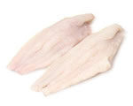 Fresh Corvinata Filet