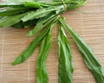 Fresh Panamanian Culantro