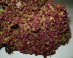 Lollo Rosso