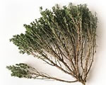 Fresh Thyme