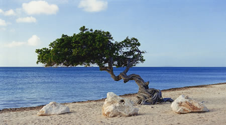 Aruba